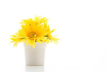 Bouquet flowers isolated on white