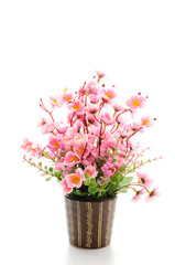 Bouquet of flower