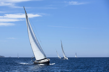 Luxury yachts. Boats in sailing regatta.