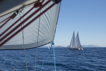 Obraz premium Sailing regatta. Yachting. Luxury yachts.