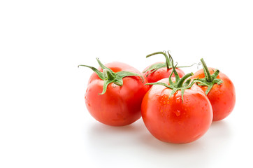 Tomato isolated on white