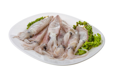 Raw calamari
