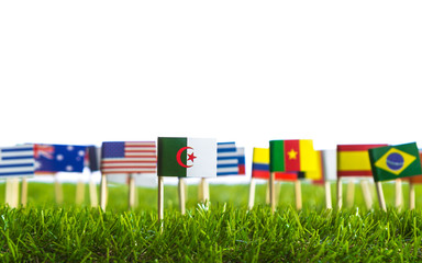 Paper cut of flags on grass for Soccer championship 2014