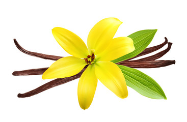 Fototapeta premium Vanilla pods and flower