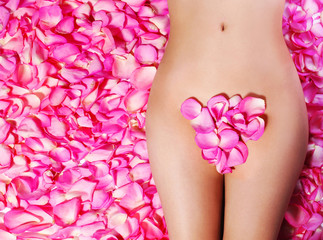 Fototapety  Petals of Pink Roses on woman's body. Concept of Waxing. Bikini