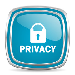 privacy blue glossy icon