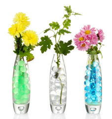 Beautiful flowers in vases with hydrogel isolated on white