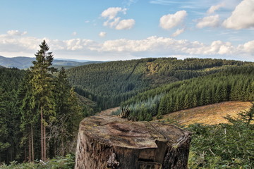 Sauerland Rothaarsteig Deutschland