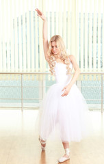 Beautiful balerina dancing in ballet class © Africa Studio