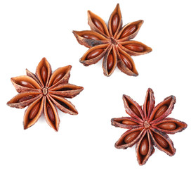 Beautiful anise, isolated on white