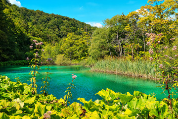 Plitvice Lakes National Park in Croatia,Europe