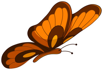 Vector butterfly