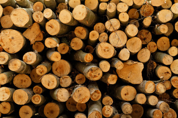 Logging