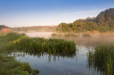 Morning Fog over the River