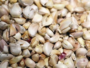 garlic closeup