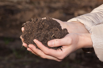 hands with soil