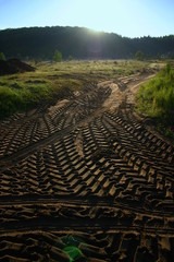 Droga śladami bieżnika © profit111