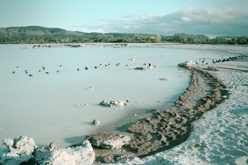 New Zealand lake Rotorua. Cross processed color tone