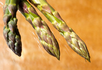 szparagi © whiteflower