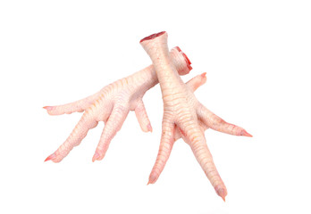 Chicken feet on white background