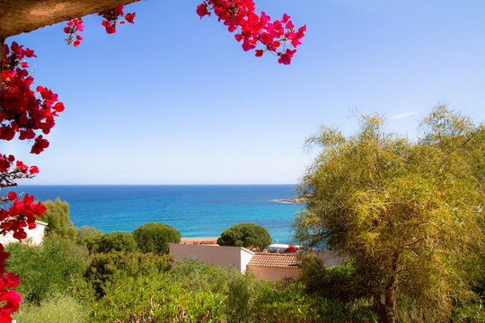 Vue sur Tarco
