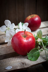 Apples