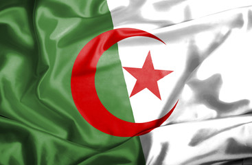 Algeria waving flag