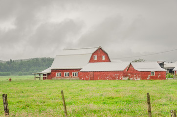 Obraz premium Red Barn During a Heavy Rainstorm