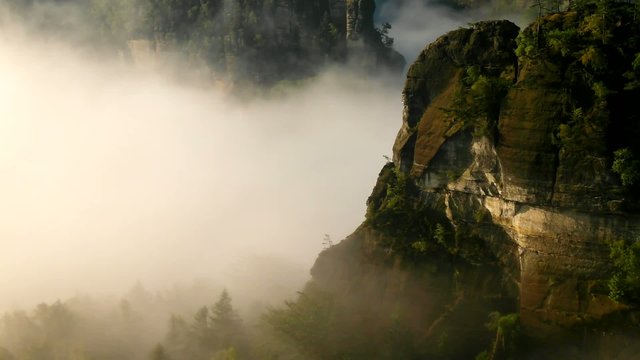 Sunny spring sunrise in a beautiful valley of Saxony Switzerland