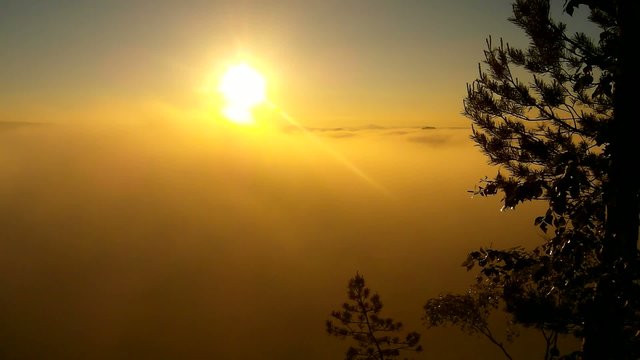 Hot spring misty sunrise in a beautiful sanstone rocky park.