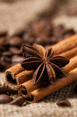 Aniseed, coffee beans and cinnamon. Macro shot.