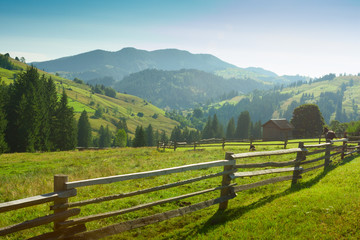 Fototapeta na wymiar Beautiful sunny morning in Carpathian Mountains , Ukraine.