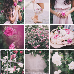 Roses collage