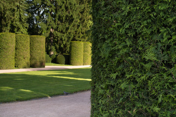 Silence - Green area in cemetery