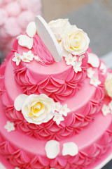Obraz na płótnie Canvas Delicious pink wedding cake