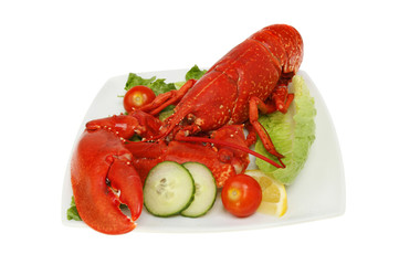 Cooked lobster