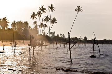 Sri Lankan traditional fisherman on stick in the Indian ocean
