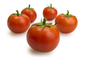 Five tomatoes on a white background