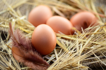 Nest
