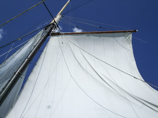 Low angle view of sailboat