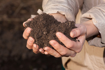 hands with soil