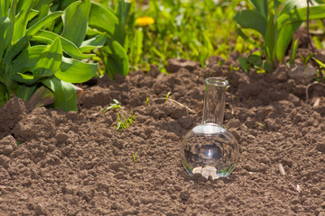 bulb with clear water on dry soil
