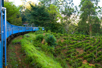 Travel by train through scenic mountain landscape