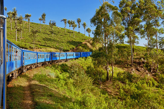 Travel by train through scenic mountain landscape