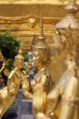 Statuue dorate del Palazzo Reale,Bangkok.