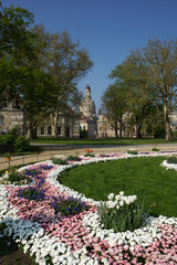 Frühling in Dresden