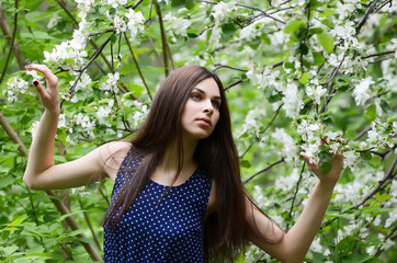 The beautiful woman in flowers of a apple