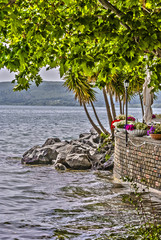 oasi sul lago