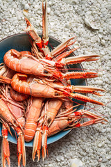 Fresh seafood straight from the sea