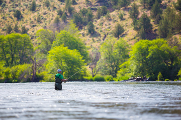 Fly Fisherman Casting on the Deschutes River